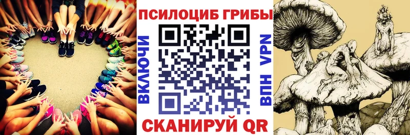наркота Верхний Уфалей Псилоцибиновые грибы Psilocybine cubensis
